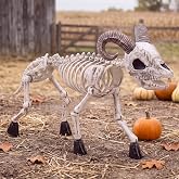 JOYIN 34” Goat Skeleton Halloween Decoration, Large Plastic Animal Skeleton with Movable Posable Joints, Spooky Indoor Outdoor Prop for Haunted House, Yard Graveyard Scene and Garden Decor