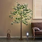 Hairui Artificial Ficus Silk Tree Lights 6FT 264 LED Fairy Lights, Faux Plant Tree with Lights for Home Room Spring Summer Christmas Decoration Indoor