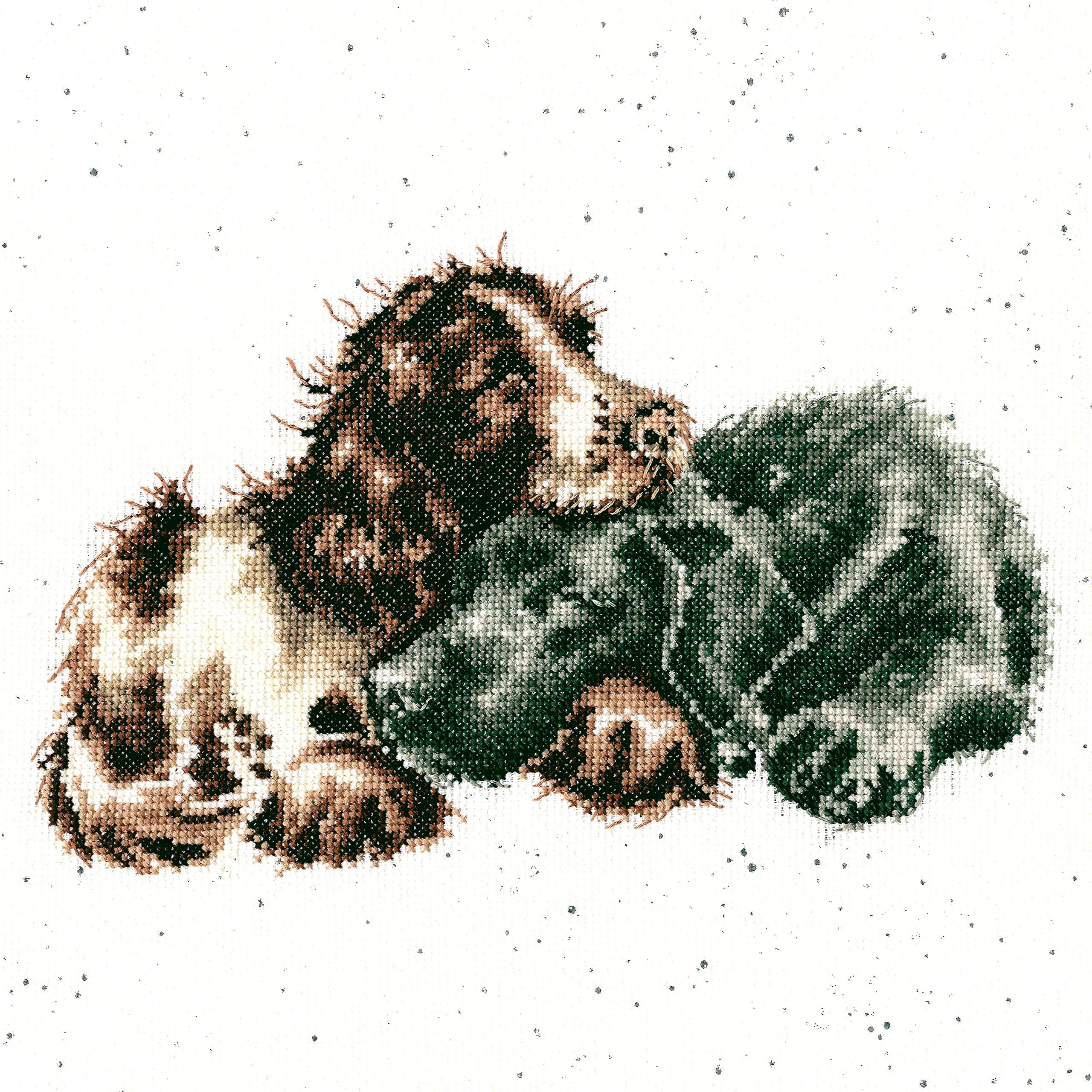 Bothy Threads Cross Stitch Kit - Growing Old Together