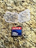 SanDisk 256 MB CompactFlash Card