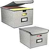 Desihum Collapsible File Organizer Box, filing