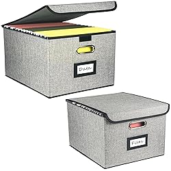 Desihum Collapsible File Organizer Box, filing