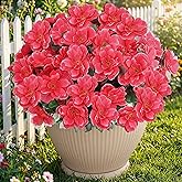 Thiccywoov 30 Pcs Fake Silk Azalea Bouquet Flower Artificial Flowers for Outdoors UV Resistant Realistic Colorful Faux Spring Floral for Outdoor Garden Window Porch Pots Wedding Decor(Rose Red)