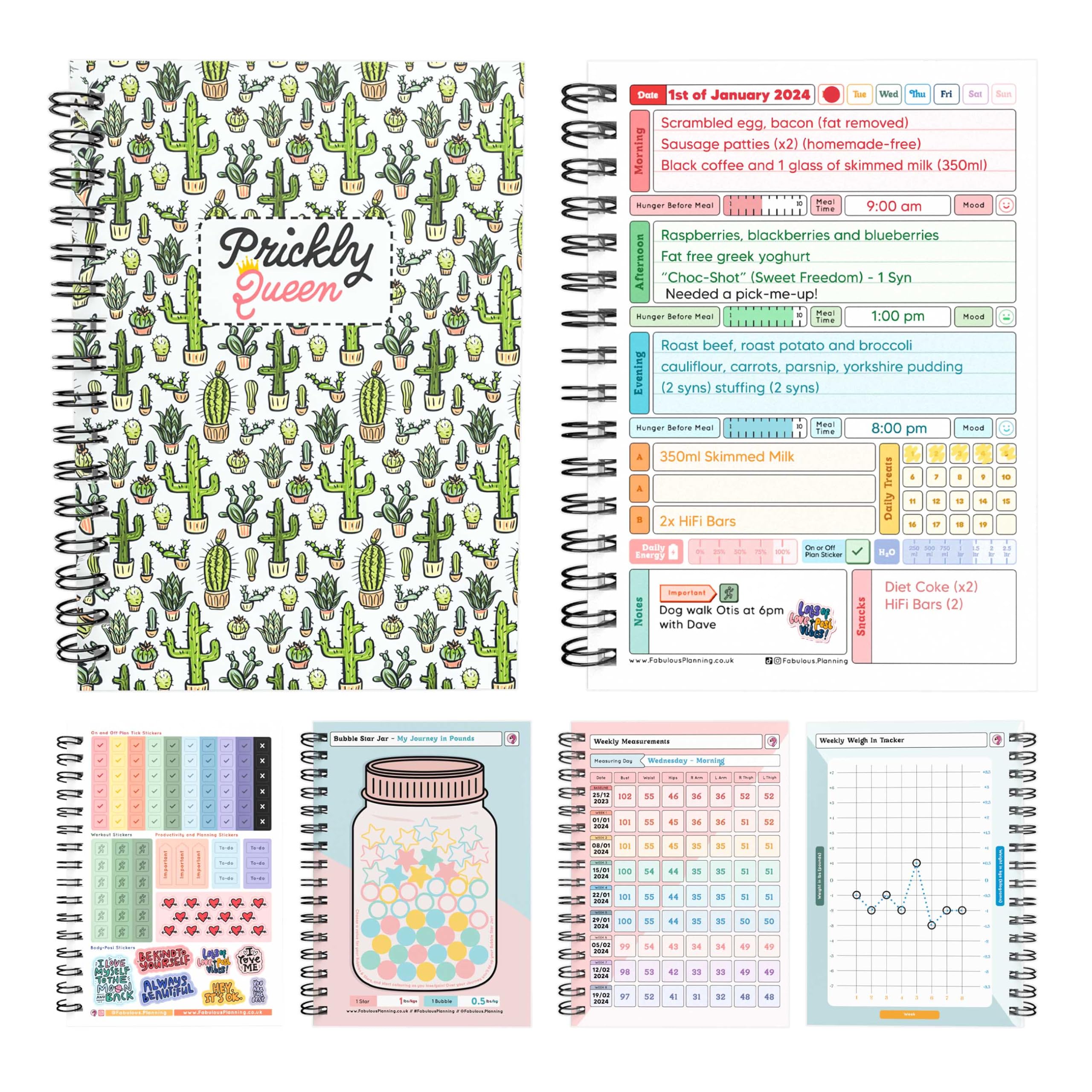 Slimming World Compatible Food Diary New Year 2025 Diet Journal Planner 7 Week Countdown Card With Stickers Cactus Prickly Queen
