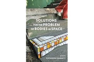 Solutions for the Problem of Bodies in Space: Poems