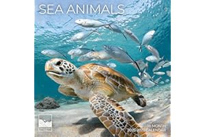 Sea Animals Wall Calendar | Sea Life Calendar | 12" x 24" Open | Giftable Calendar 2026 | Thick & Sturdy Paper for Organizing & Planning | Pacific Waters Press (Sea Animals)