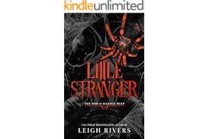Little Stranger: A Dark Taboo Romance (The Web of Silence Duet Book 1)