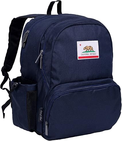backpack with zippered side pockets