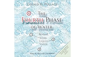 The Fourth Phase of Water: Beyond Solid, Liquid, and Vapor