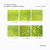 Hemway Holographic Lime Green Glitter Shaker 130g 1/8" Metallic Flake view 6