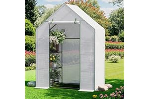 BENASS Greenhouse for Outdoors, Small Greenhouse, Walk-in Greenhouses with 3 Tiers 4 Shelves, PE Cover, Heavy Duty Plant Greenhouses for Garden and Backyard