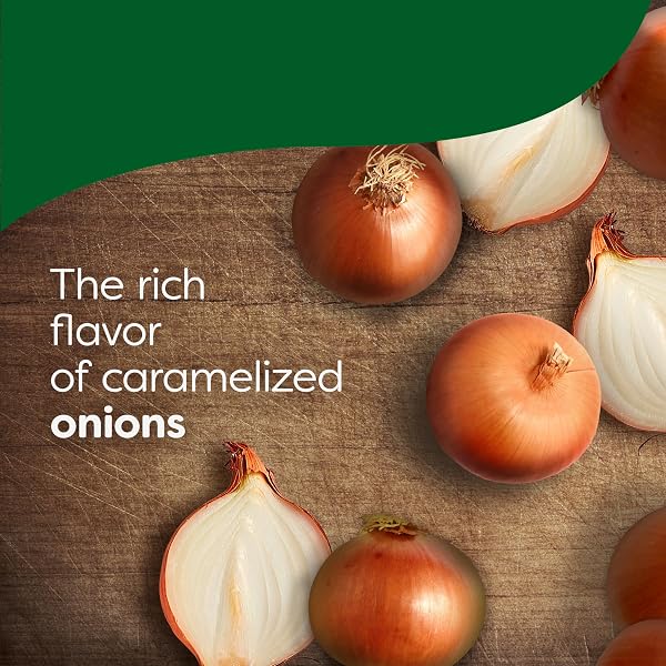 KNORR SOUP MIX AND RECIPE MIX FRENCH ONION FOR SOUPS, SAUCES AND SIMPLE MEALS NO ARTIFICIAL FLAVORS 1.4 OZ