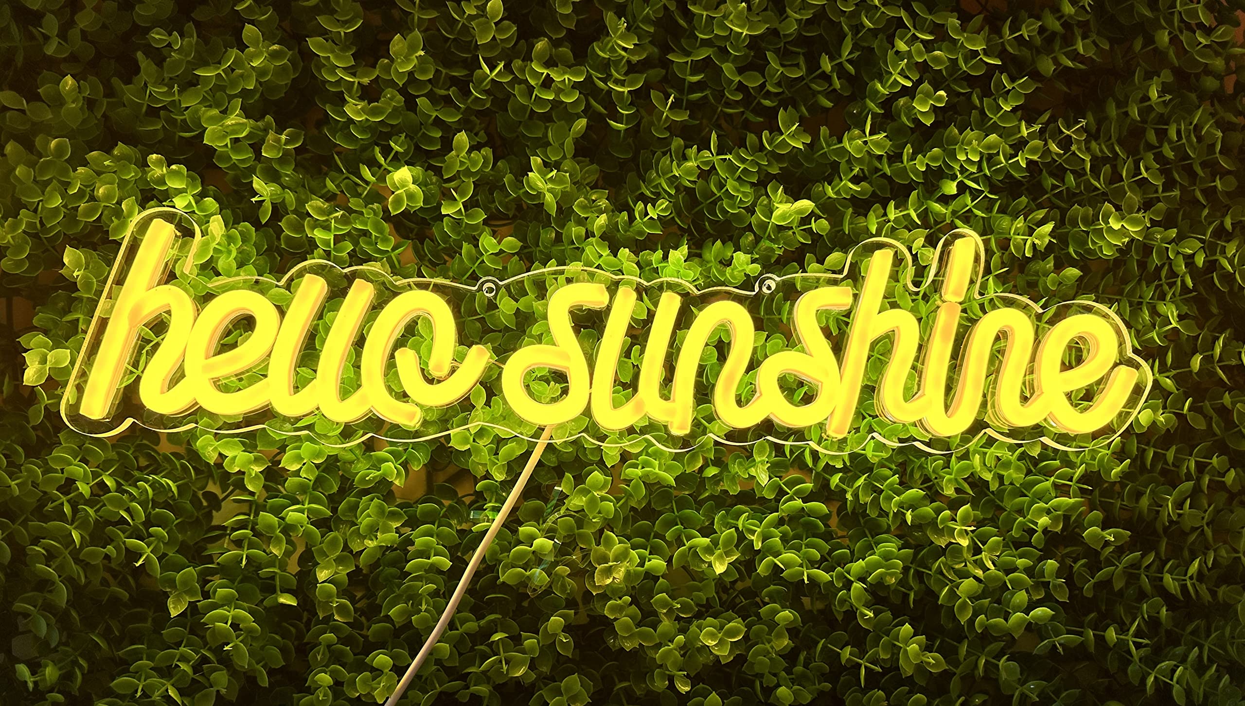 Ulalaza LED Neon Sign Night Light for Wall Party Décor Bedroom Room Bar Wedding Home Birthday Art Decoration Christmas with USB Chain Light Modulator 5v