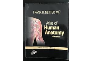 Atlas of Human Anatomy: With Netteranatomy