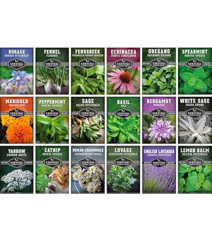 mixed succulent pot Colorful Succulent Combo Pots – In Succulent Love