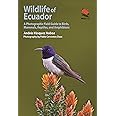 Wildlife of Ecuador: A Photographic Field Guide to Birds, Mammals, Reptiles, and Amphibians (Wildlife Explorer Guides)
