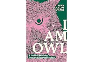 I AM OWL: A Journey of Knowledge