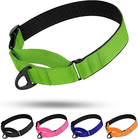 padded martingale dog collars