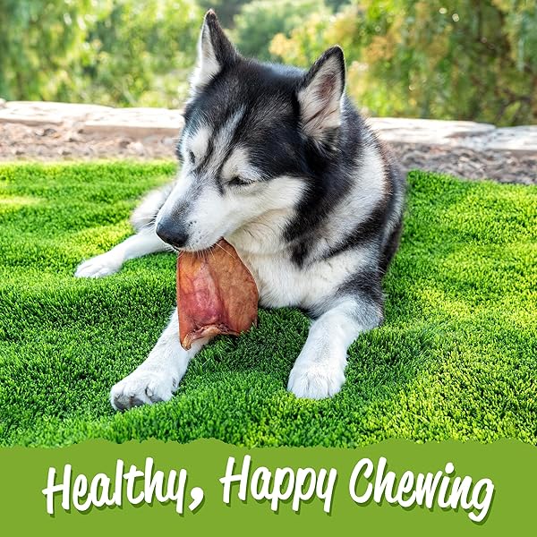 ERIK & PAWS SMOKED PIG EARS FOR DOGS – PREMIUM ALL-NATURAL, UNBLEACHED 100% DOG PIG EARS, NO ADDITIVES OR HORMONES, SMOKED IN THE USA, SAFE RAWHIDE ALTERNATIVE, GENTLE ON TUMMIES – 18 COUNT