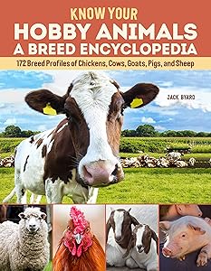 kindle best category lists