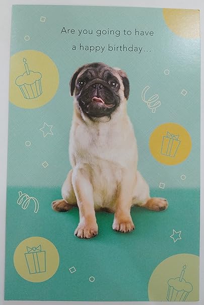Chien Carlin Drole Joyeux Anniversaire Carte De Voeux Cute Sweet Amazon Fr Fournitures De Bureau