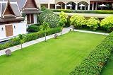 GUARD-EN-FORCE 5KG Iron Sulphate Lawn Fertiliser & Turf Hardener view 4