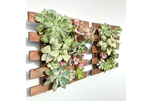 Wall Planter - 2 Pack Wooden Hanging Succulent Decor, Live Air Plants Orchids Mounted Holder Frame Display for Indoor Outdoor
