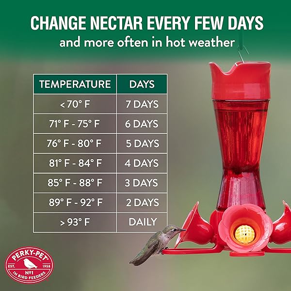 PERKY-PET HUMMINGBIRD NECTAR CONCENTRATE FOR HUMMINGBIRD FEEDER – 32 OZ – MAKES 96 FL OZ OF RED FOOD NECTAR – 238
