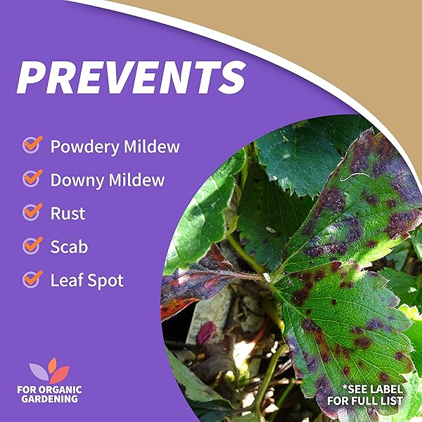 BONIDE CAPTAIN JACK’S NEEM OIL, 32 OZ READY-TO-USE SPRAY, MULTI-PURPOSE FUNGICIDE, INSECTICIDE AND MITICIDE FOR ORGANIC GARDENING