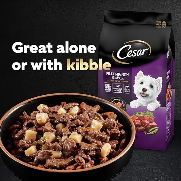 CESAR HOME DELIGHTS ADULT WET DOG FOOD GRILLED RIBEYE STEAK FLAVOR WITH VEGETABLES IN SAUCE, 3.5 OZ. EASY PEEL TRAYS (24 COUNT, PACK OF 1)