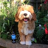 Animology Mucky Pup No-Rinse Shampoo Puppy Spray 250ml Twin Pack view 4