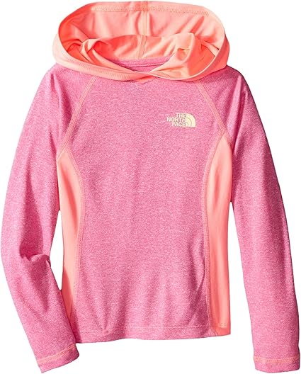 the north face reactor hoodie