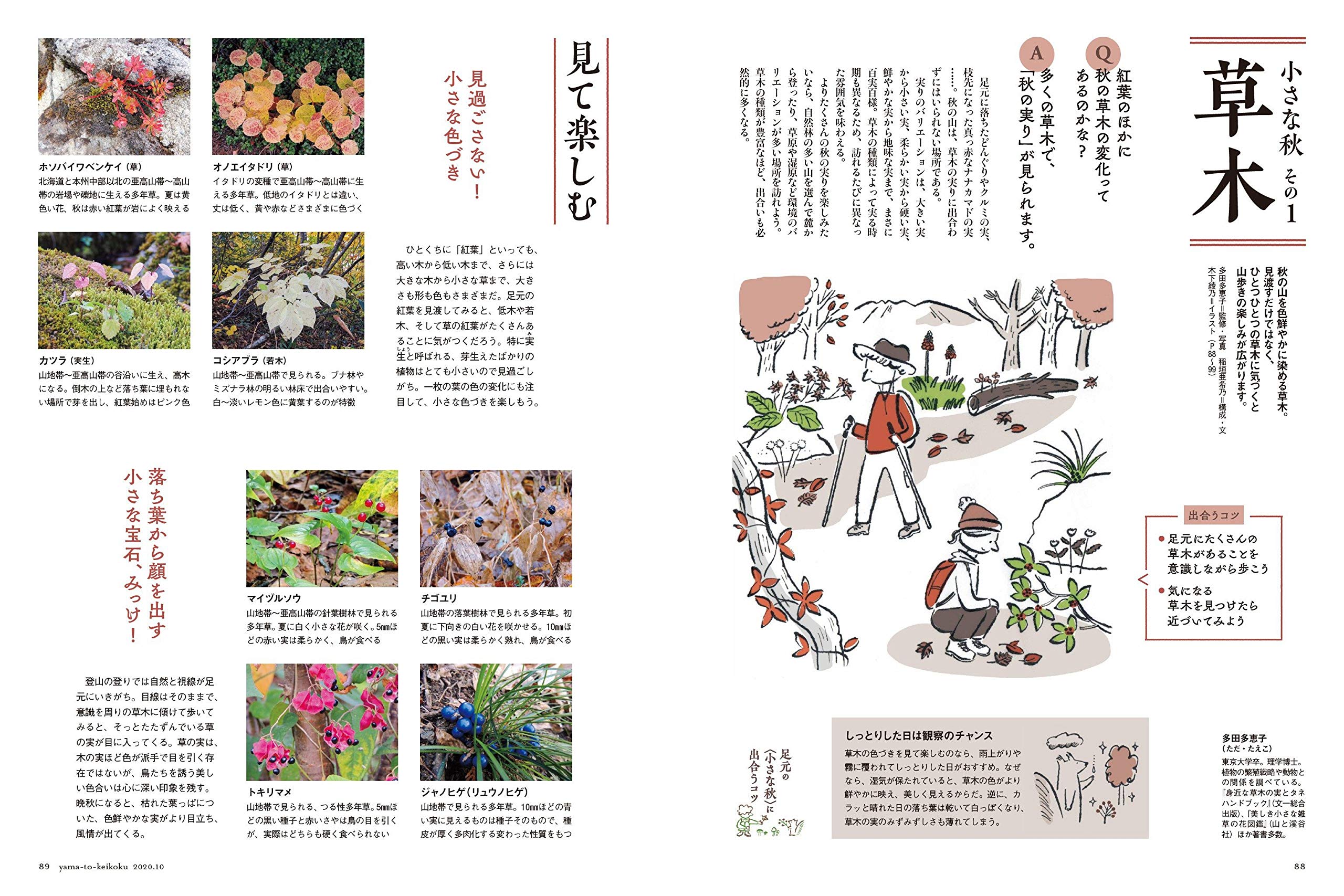 山と溪谷年10月号 テーマで歩く秋の山旅 山と溪谷編集部 本 通販 Amazon