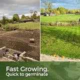 Garden Lawncare Guy ColdPro Winter Grass Seed 1kg Germinates at 5°C view 3