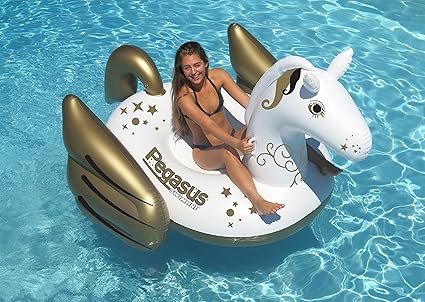 pegasus floatie