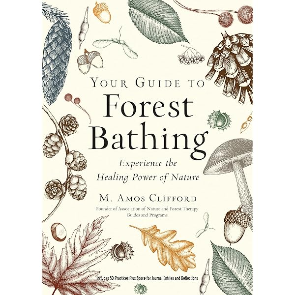 Forest Bathing: How Trees Can Help You Find Health and