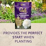 Vitax Q4 Rootmore Mycorrhizal Fungi 250G Organic Soil Improves Roots view 3