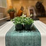 Selections Water Absorbent Capillary Matting Roll 5m x 0.53m view 3