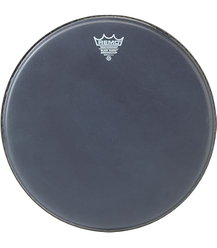 Amazon.com: Remo M7S100F5 Drumhead Pack (M7-S100-F5) : Musical