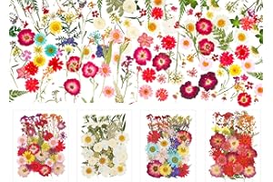 BEEBEAR-DHT 155 Pcs Dried Pressed Flowers Real Natural Pressed Wildflower for Crafts Nails Scrapbooking Resin and Candles Making, Small Dried Flowers and Green Leaf Fits for Holiday DIY Decor
