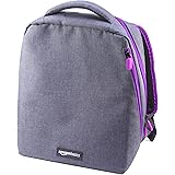Amazon Basics Backpack for Super NES , Grey