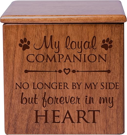 pet ashes urn