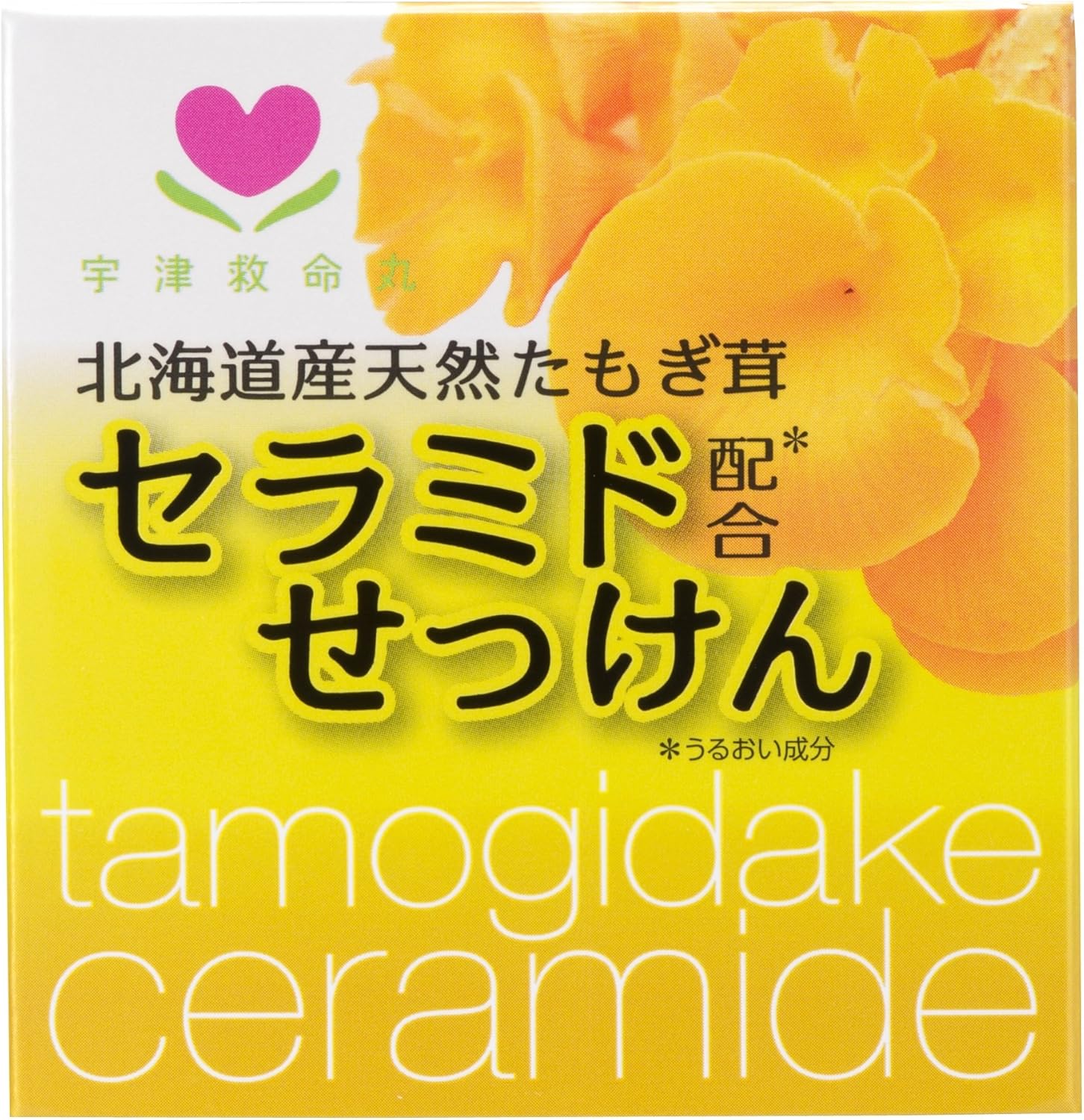 Amazon 宇津救命丸 たもぎ茸セラミドせっけん 宇津救命丸 洗顔せっけん 通販