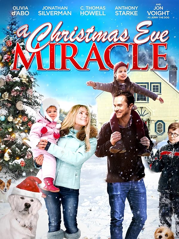 Christmas Eve Miracle 