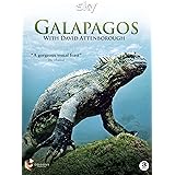 Galapagos with David Attenborough [DVD]