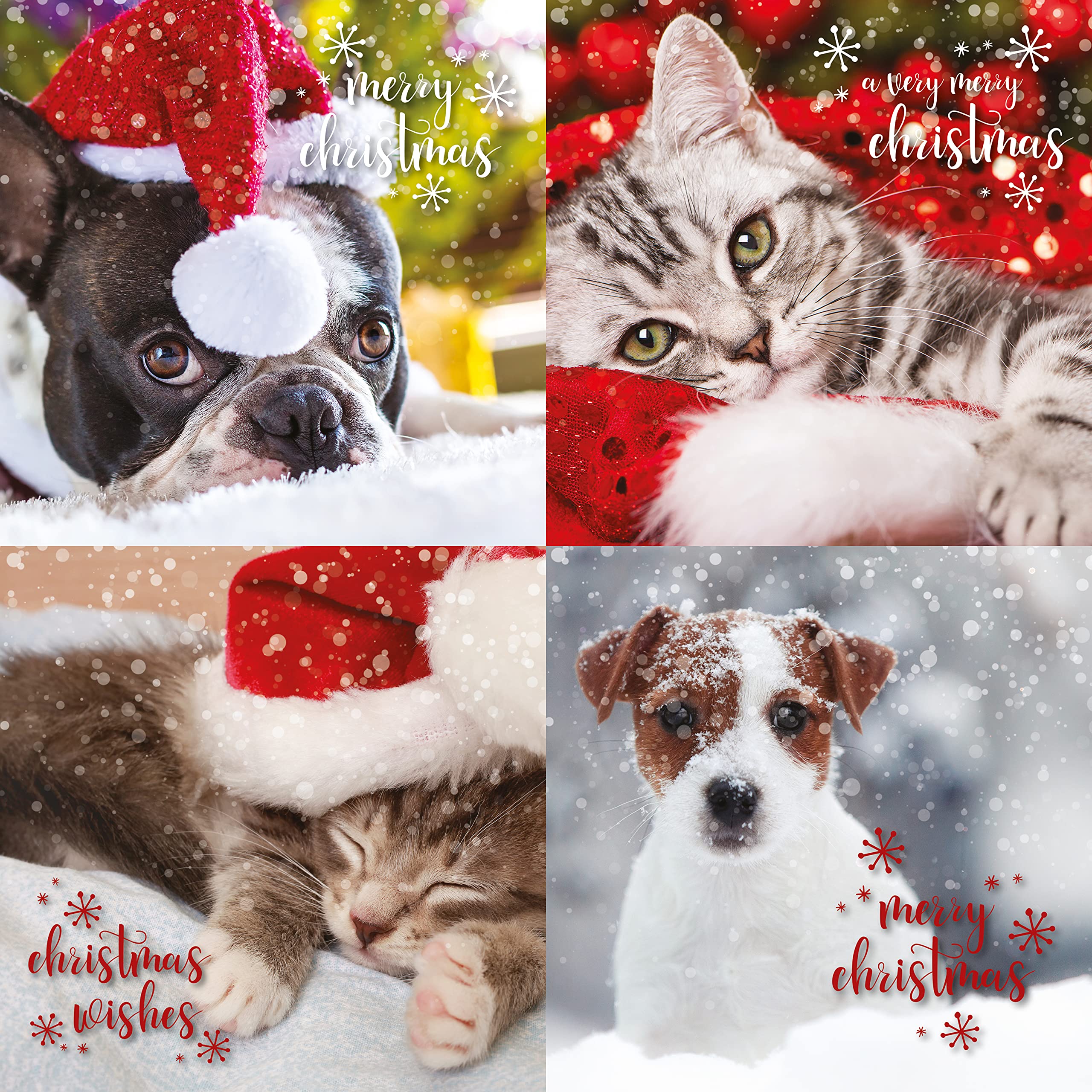 Emotional Rescue Christmas Cards Multi-pack, 12 Colourful Puppies & Kittens Christmas Cards, 4 Different Designs