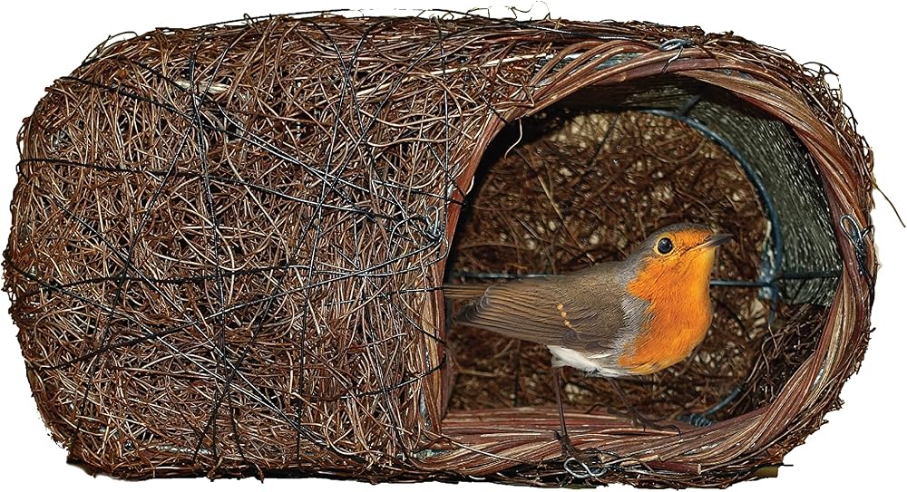 Simon King Wildlife World Brushwood Nester Bird Habitat Brown