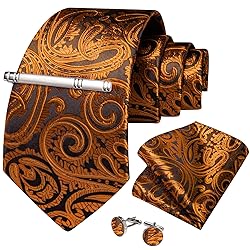 DiBanGu Silk Paisley Ties for Men Woven Necktie and
