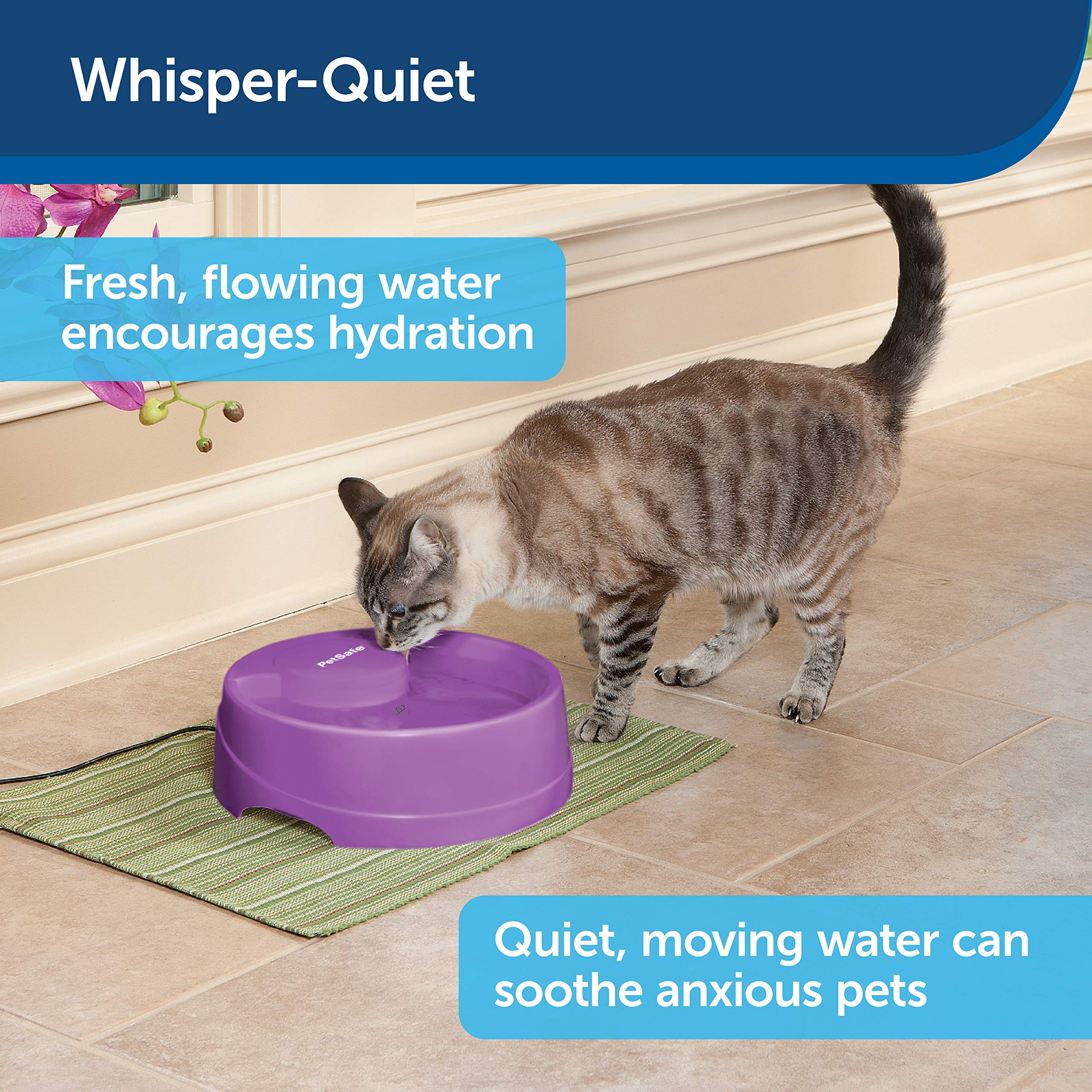 petsafe current circulating pet fountain
