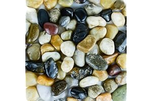 GALASHIELD 5 lbs Approx. 130 River Rocks Stones for Plants Pebbles for Indoor Plants | Aquarium Fish Tank Rocks | Polished Decorative Rocks for Vases (0.8-1.6 Inches)